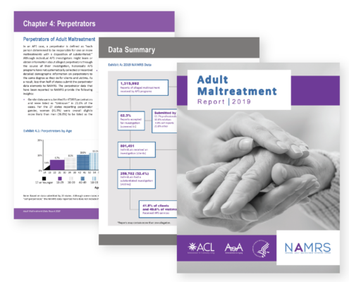 Sample pages from the Adult Maltreatment Report 2019, including the cover page and two internal body copy pages with infographics.