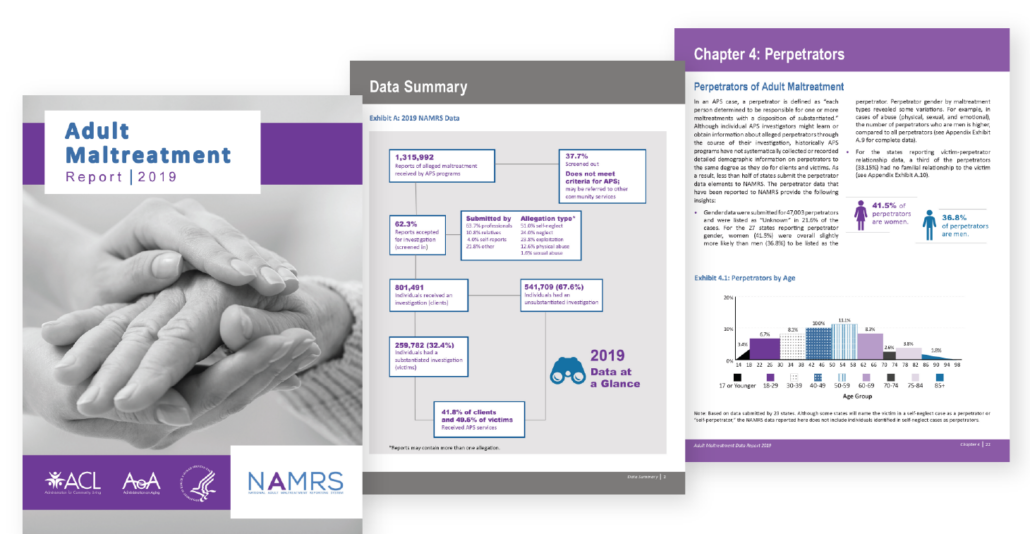 Sample pages from the Adult Maltreatment Report 2019, including the cover page and two internal body copy pages with infographics.