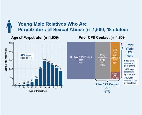 Sample data charts from the research poster on young maltreatment perpetrators.