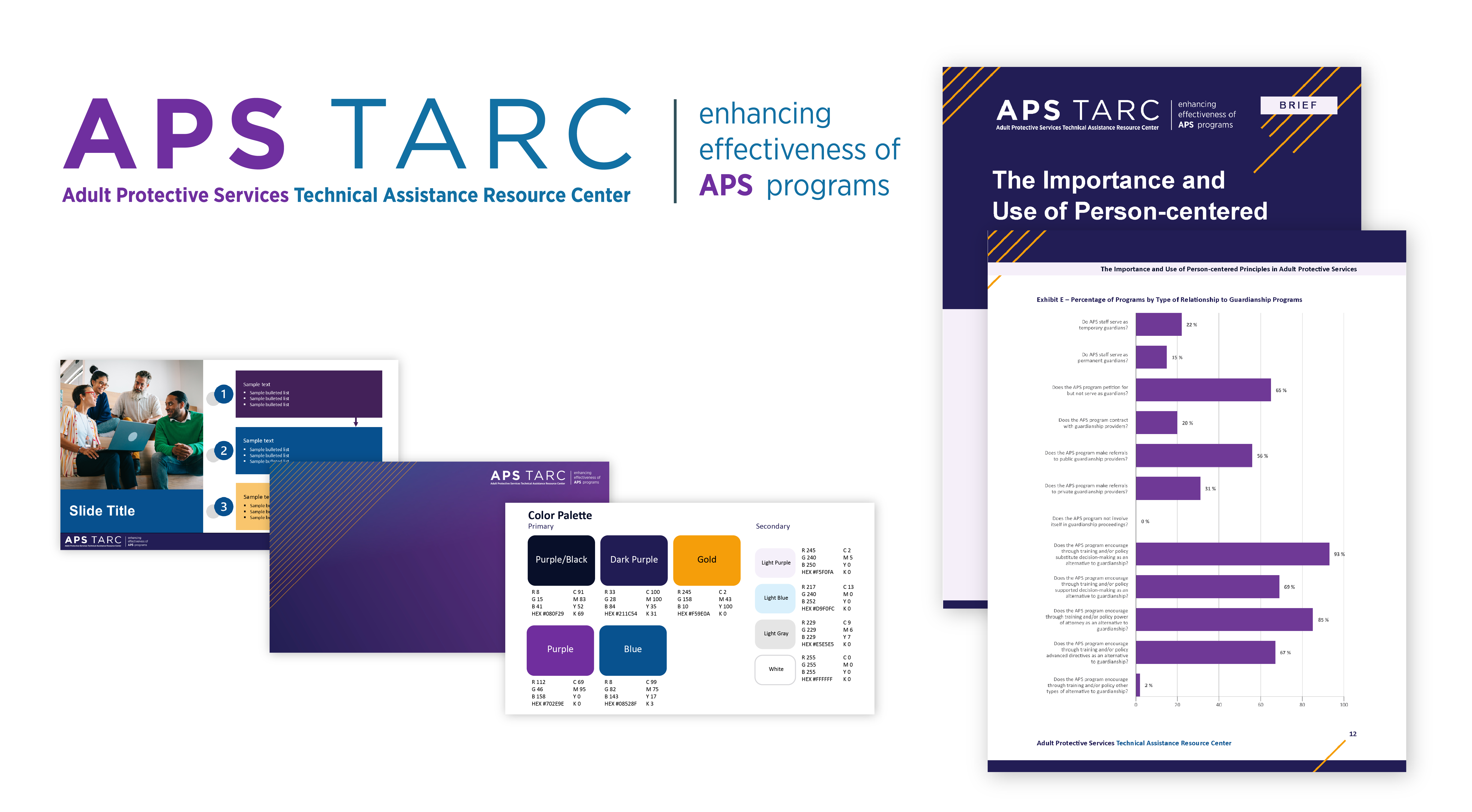 The APS TARC logo, pages from their brief, powerpoint slide, teams background, and color palette.