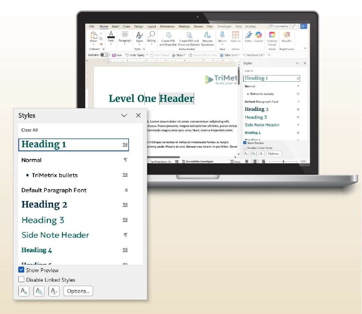 An example of Microsoft Word's style panel is shown.